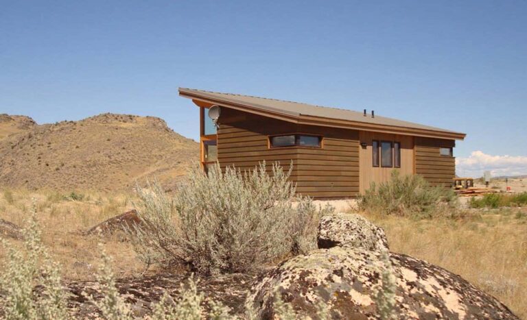 Tiny Home Dreams: Designing a 550 Sq Ft 1-Bedroom House