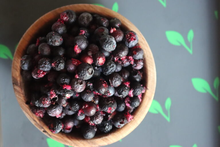 Berry Bites: Can Dogs Have Freeze-Dried Blueberries?