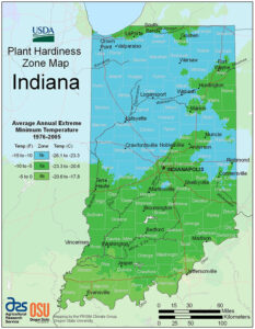 Can Palm Trees Grow In Indiana