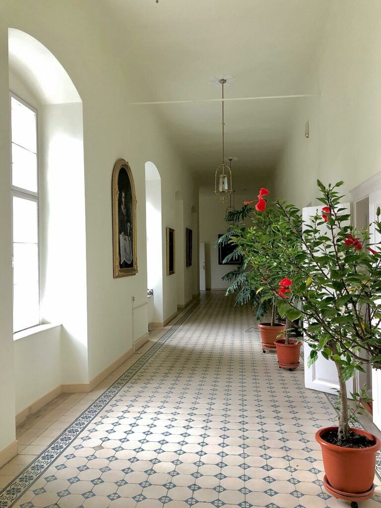 Canine Cuisine: Can Dogs Eat Food That is Still Frozen?